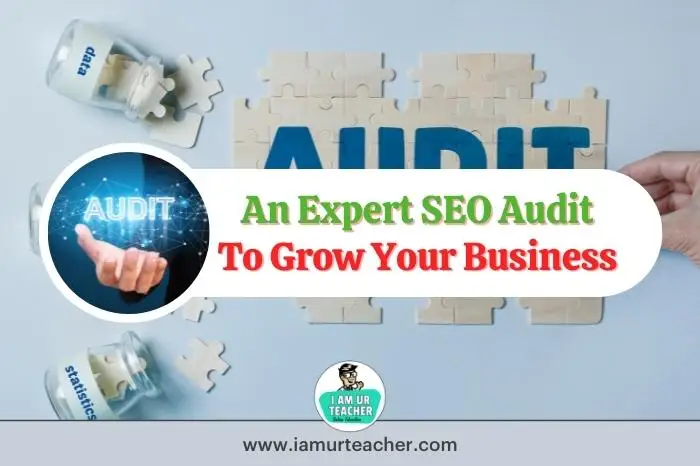 Expert Seo Audit Use It To Grow Your Business